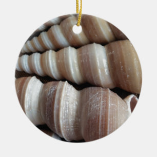 Oblong Summer Seashells, Sommersaison Keramik Ornament