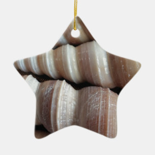 Oblong Summer Seashells, Sommersaison Keramikornament