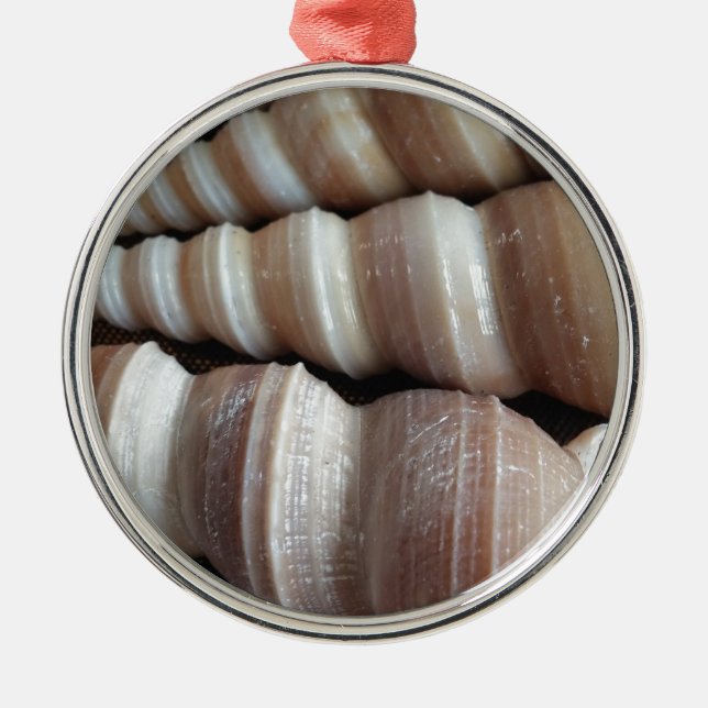 Oblong Summer Seashells, Sommersaison Ornament Aus Metall (Vorne)