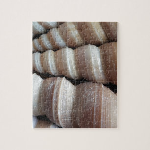 Oblong Summer Seashells, Sommersaison Puzzle