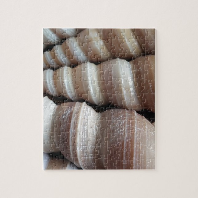 Oblong Summer Seashells, Sommersaison Puzzle (Vertikal)