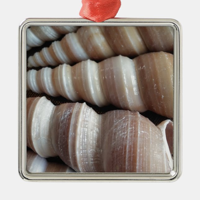 Oblong Summer Seashells, Sommersaison Silbernes Ornament (Vorne)