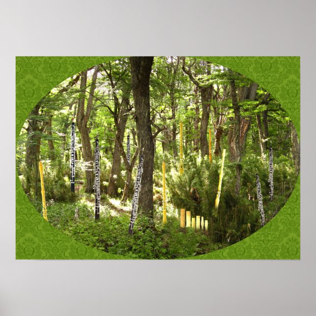 Oboe Forest Poster (Vorne)