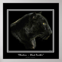 "OBSIDIAN" ~ Black Panther Puma Wildlife Art Print