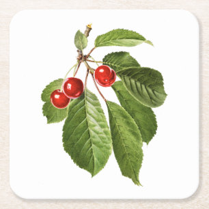 Obst: A015 Kirsche - Rechteckiger Pappuntersetzer