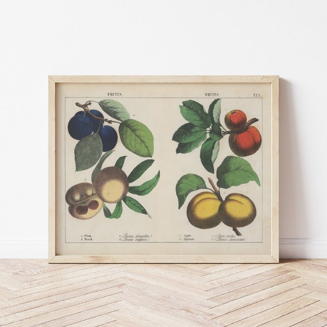 Obst | Charlotte Mary Yonge Poster (Von Creator hochgeladen)