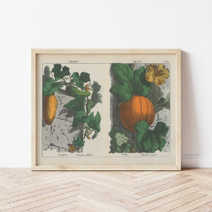 Obst   Charlotte Mary Yonge Poster