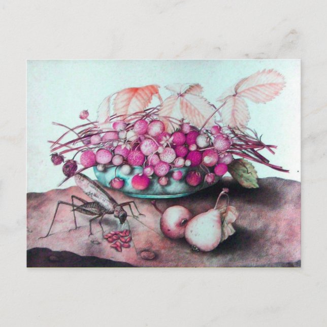 OBST DER SAISON 3 POSTKARTE (Vorderseite)