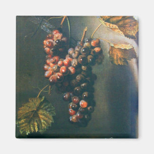 OBST DER SAISON - WOHLSTAND TRAGED GRAPES Rustikal Magnet