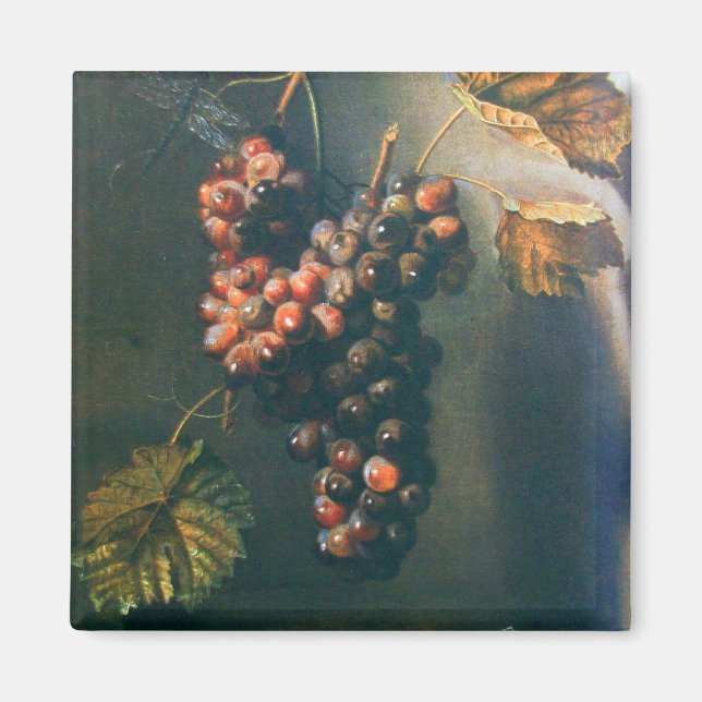 OBST DER SAISON - WOHLSTAND TRAGED GRAPES Rustikal Magnet (Vorne)