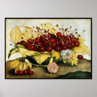 OBST/KERNE UND KARNATIONEN DER SAISON