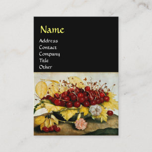 OBST/KERNE UND KARNATIONEN DER SAISON VISITENKARTE