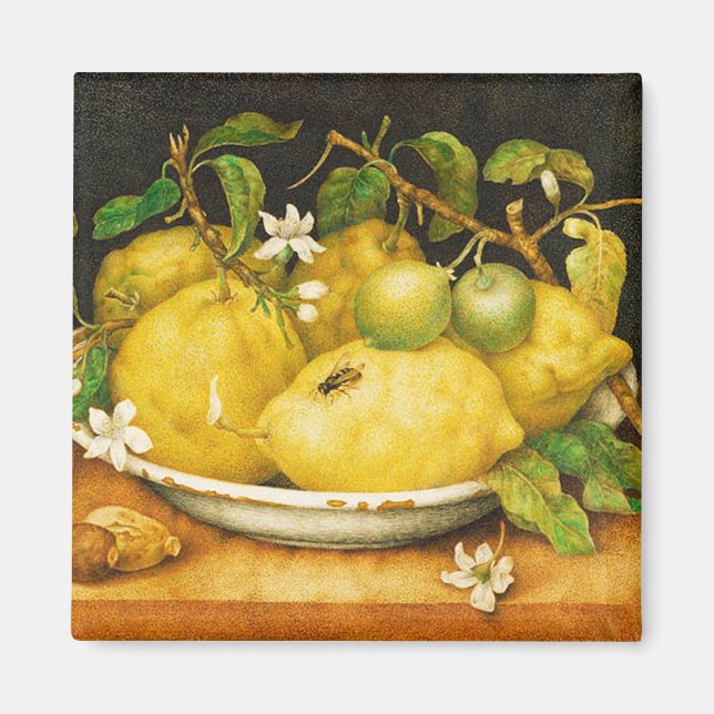 OBST. LEMONS UND WEISSE BLUME MAGNET (Vorne)