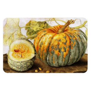 OBST/PUMPKINS DER SAISON MAGNET