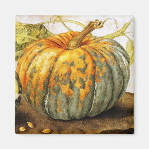 OBST/PUMPKINS DER SAISON MAGNET