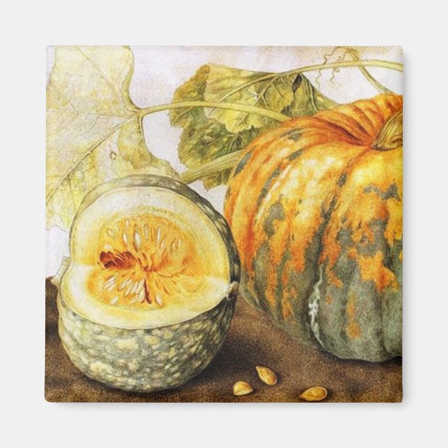 OBST/PUMPKINS DER SAISON MAGNET (Vorne)