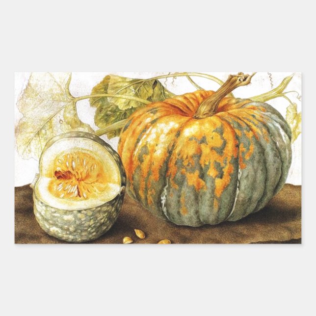 OBST/PUMPKINS DER SAISON RECHTECKIGER AUFKLEBER (Vorderseite)