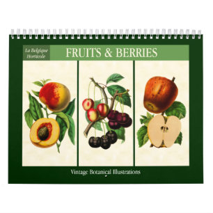 Obst und Beeren Vintag Botanisch 2025 Kalender