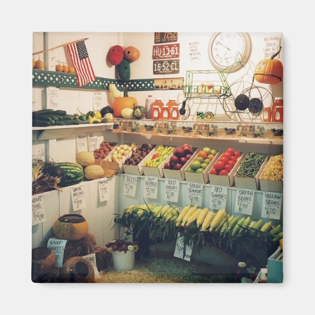 Obst und Gemüse Magnet (Vorne)