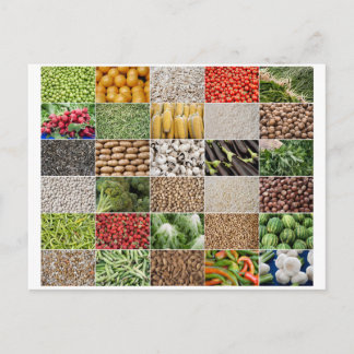 Obst und Gemüse Postkarte