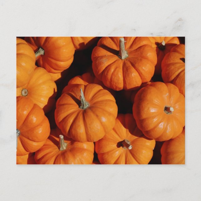 Obst und Lebensmittel Postkarte 17 (Vorderseite)