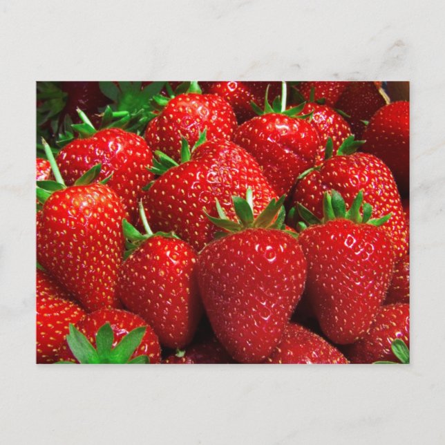 Obst und Lebensmittel Postkarte 3 (Vorderseite)