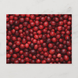 Obst und Lebensmittel Postkarte 53