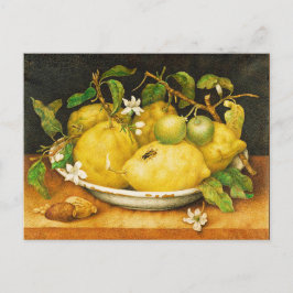 OBST UND WEISSE BLUME DER SAISON POSTKARTE