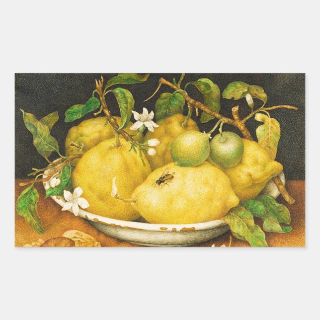 OBST UND WEISSE BLUME DER SAISON RECHTECKIGER AUFKLEBER (Vorderseite)