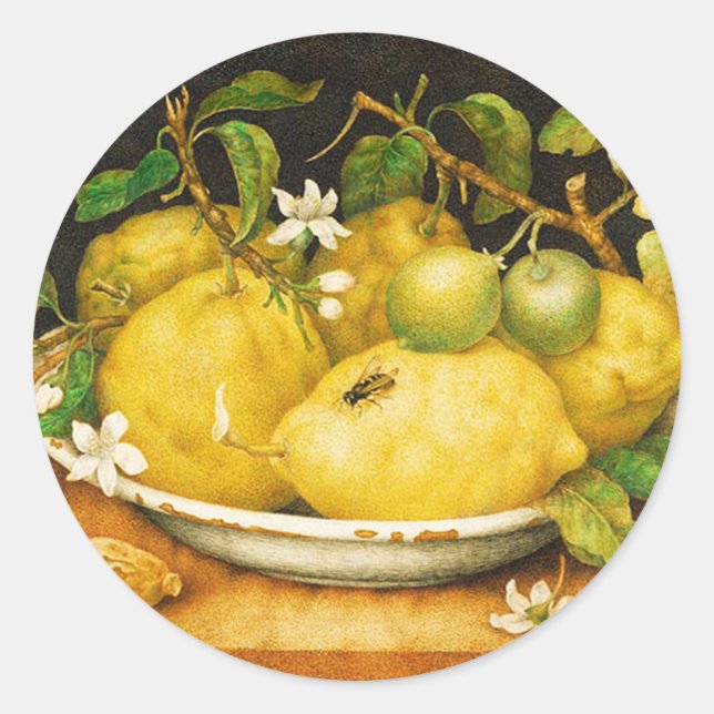 OBST UND WEISSE BLUME DER SAISON RUNDER AUFKLEBER (Vorderseite)