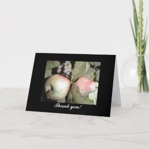 Obstanordnung Vielen Dank Dankeskarte