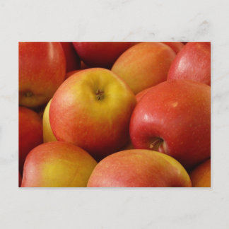 Obstäpfel Herbstfarben Schicksal Postkarte