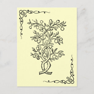 Obstbaum-Postkarte Postkarte