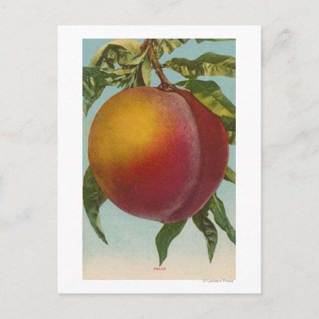 Obstchromlithograph von PeachFruitState Postkarte (Vorderseite)