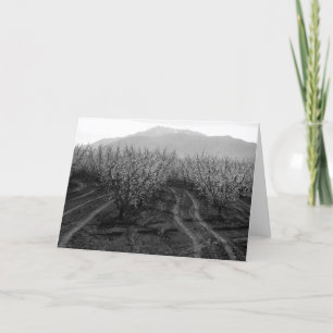 Obstgärten am Verbieten der Höhen, Mt. San Karte