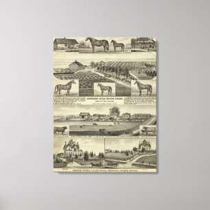 Obstgarten-Hügel-und Zedern-Waldung, Kansas Leinwanddruck