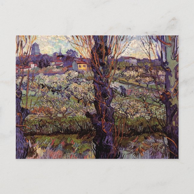 Obstgarten in Blossom, Arles von Vincent van Gogh Postkarte (Vorderseite)