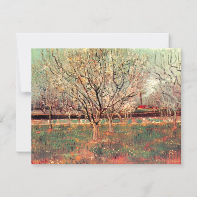 Obstgarten in Blossom, Pflaumen von Vincent van Go (Vorderseite)