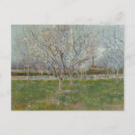Obstgarten in Blossom Pflaumenbaum von Vincent Van Postkarte