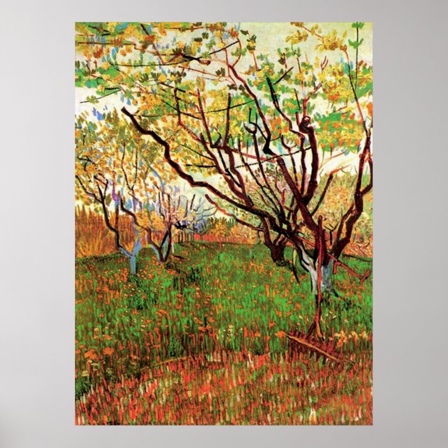 Obstgarten in Blossom, Vincent van Gogh Poster (Vorne)