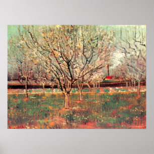 Obstgarten in Blüte, Pflaumenbäume von Vincent van Poster