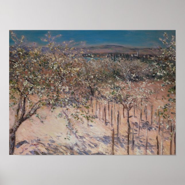 Obstgarten mit blühenden Apfelbäumen, Kolumbien Poster (Vorne)