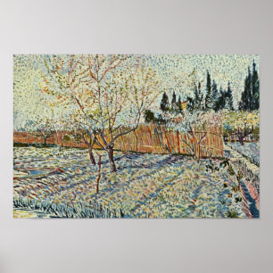 Obstgarten mit Cypress von Vincent Van Gogh Poster
