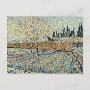 Obstgarten mit Zypressen von Vincent Van Gogh Postkarte