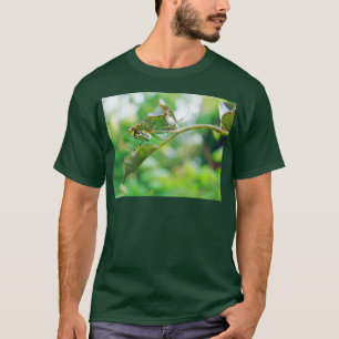 Obstgarten-Radnetzspinne - Leucauge venusta T-Shirt