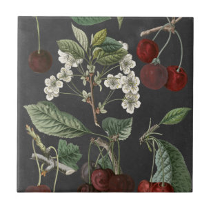 Obstgarten-Vielzahl I Fliese