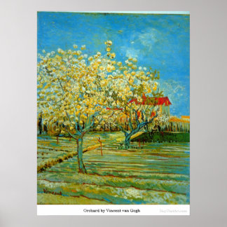 Obstgarten von Vincent van Gogh Poster