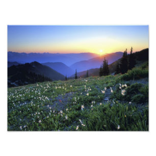 Obstruciton Point Sonnenuntergang, Olympic NP, WA, Fotodruck