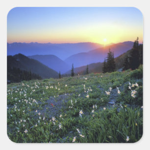Obstruciton Point Sonnenuntergang, Olympic NP, WA, Quadratischer Aufkleber