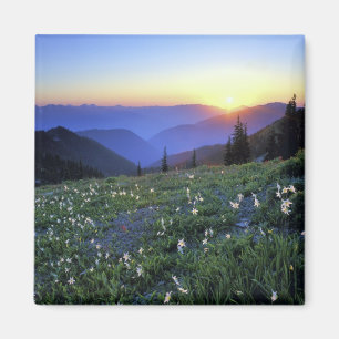 Obstrucon Point Sunset, Olympic NP, WA, USA Magnet